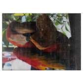 Scarlet Macaw Parrot Eating Toast Snijplank (Voorkant)