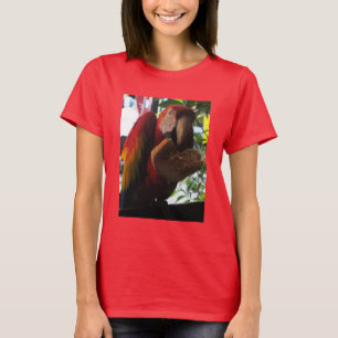 Scarlet Macaw Parrot Eating Toast T-shirt