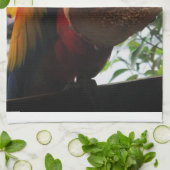 Scarlet Macaw Parrot Eating Toast Theedoek (Gevouwen)