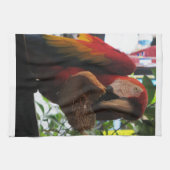 Scarlet Macaw Parrot Eating Toast Theedoek (Horizontaal)