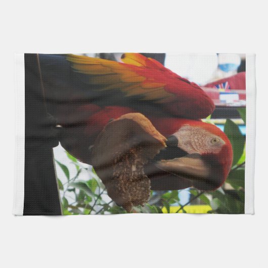 Scarlet Macaw Parrot Eating Toast Theedoek (Horizontaal)