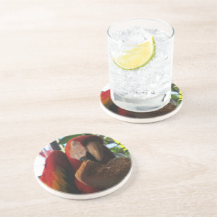 Scarlet Macaw Parrot Eating Toast Zandsteen Onderzetter