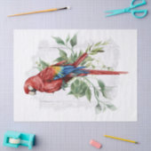Scarlet Macaw Parrot Eucalyptus Waterverf Tissuepapier (Craft)
