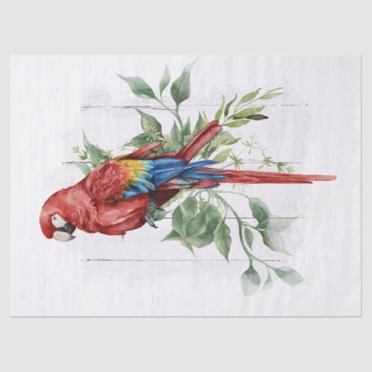 Scarlet Macaw Parrot Eucalyptus Waterverf Tissuepapier (Voorkant)