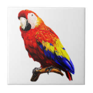 Scarlet Macaw Parrot op een filiaal Tegeltje