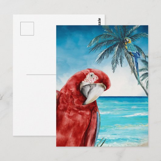 Scarlet Macaw Parrot Waterverf Tropisch Briefkaart (Voorkant / Achterkant)