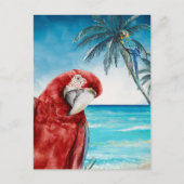 Scarlet Macaw Parrot Waterverf Tropisch Briefkaart (Voorkant)