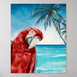 Scarlet Macaw Parrot Waterverf Tropisch Poster