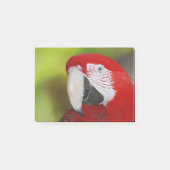 Scarlet Macaw Post-it® Notes (Voorkant)
