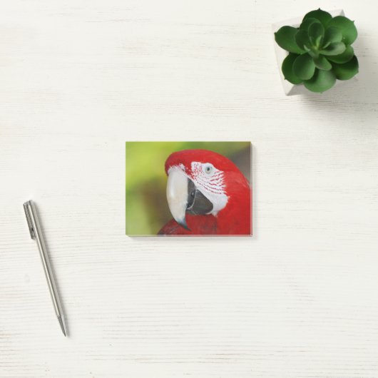 Scarlet Macaw Post-it® Notes (Kantoor)