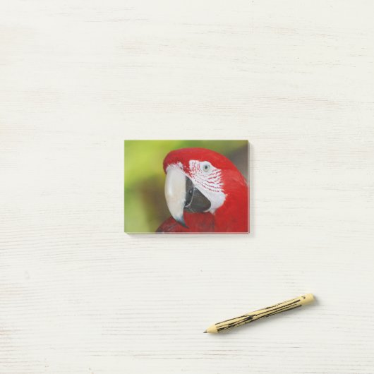 Scarlet Macaw Post-it® Notes (Op bureau)
