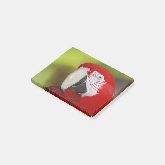 Scarlet Macaw Post-it® Notes (Schuin)