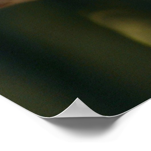 Scarlet Macaw Poster (Hoek)