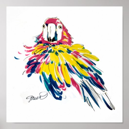 Scarlet Macaw Poster (Voorkant)