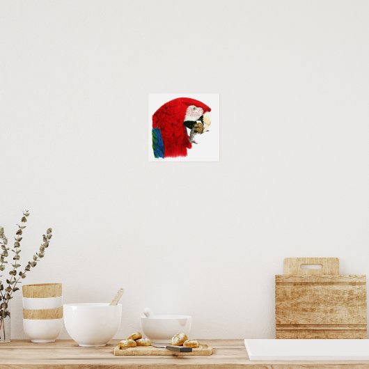 Scarlet Macaw Poster (Keuken)