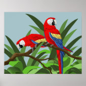 Scarlet Macaw Posters (Voorkant)