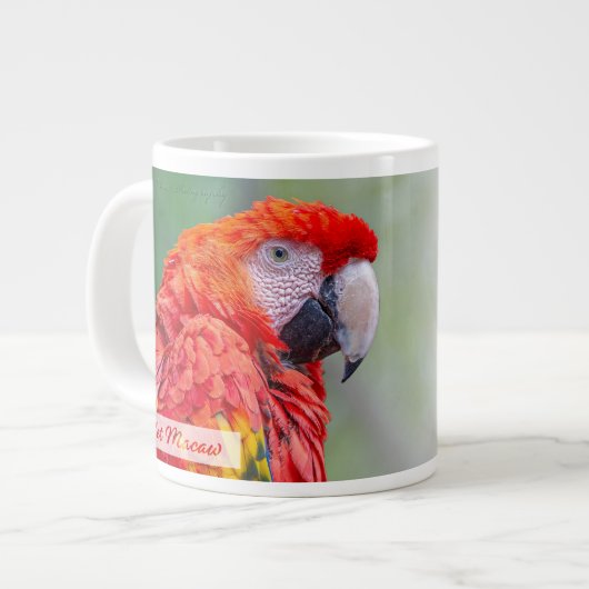 Scarlet Macaw Psalm 91:4 KJV Grote Koffiekop (Links)