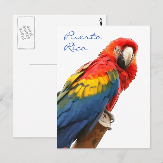 Scarlet Macaw Puerto Rico Briefkaart (Voorkant / Achterkant)