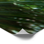 Scarlet macaw, rode ara fotografie poster (Hoek)