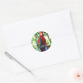 Scarlet macaw, rode ara fotografie ronde sticker (Envelop)
