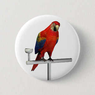 Scarlet Macaw Ronde Button 5,7 Cm