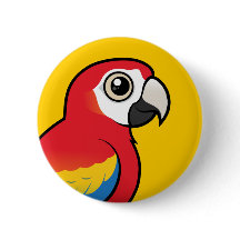 Scarlet Macaw