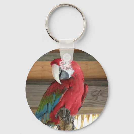 Scarlet Macaw Sleutelhanger (Voorkant)