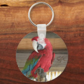 Scarlet Macaw Sleutelhanger (Voorkant)