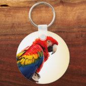 Scarlet Macaw Sleutelhanger (Voorkant)