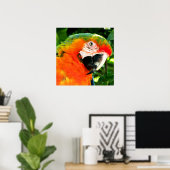 Scarlet Macaw Square Print (Thuiskantoor)