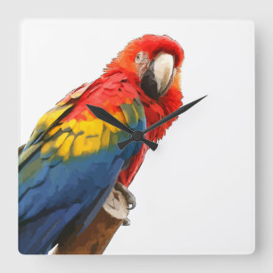 Scarlet Macaw Square Wall klok