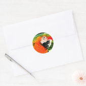 Scarlet Macaw Stickers (Envelop)