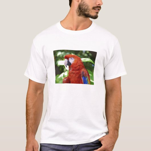 Scarlet Macaw T-shirt (Voorkant)