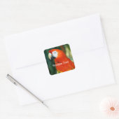 Scarlet Macaw Vierkante Sticker (Envelop)