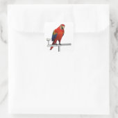 Scarlet Macaw Vierkante Sticker (Tas)