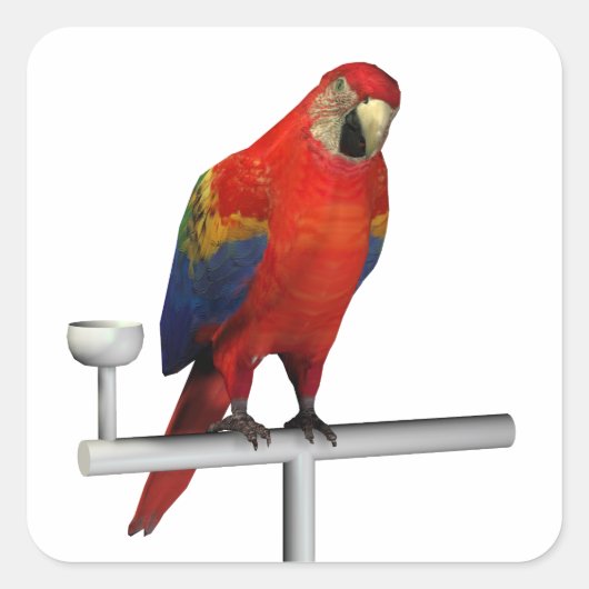 Scarlet Macaw Vierkante Sticker (Voorkant)