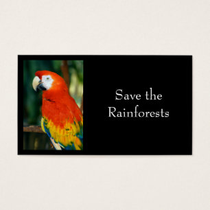 Scarlet Macaw Visitekaartjes