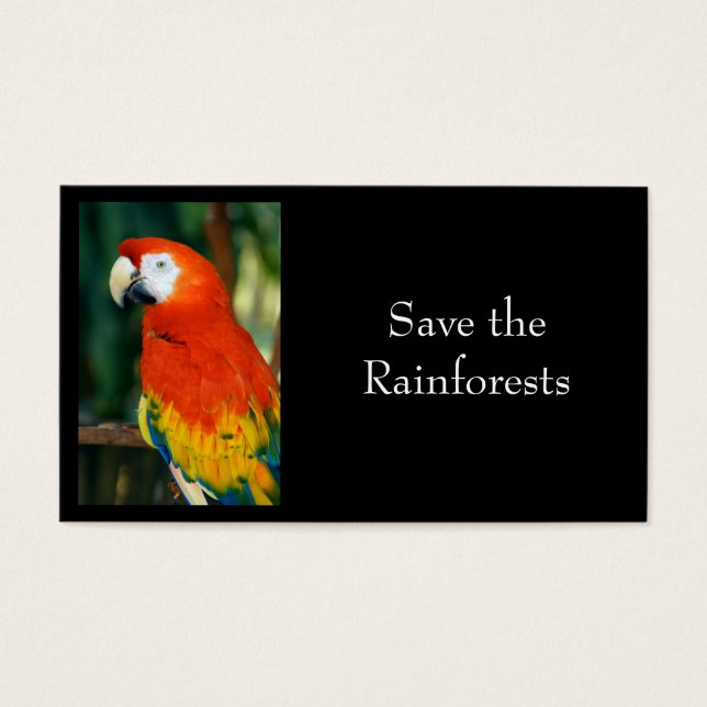 Scarlet Macaw Visitekaartjes (Voorkant)