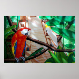 Scarlet Macaw White Parrot Amazon Oerwoud Poster