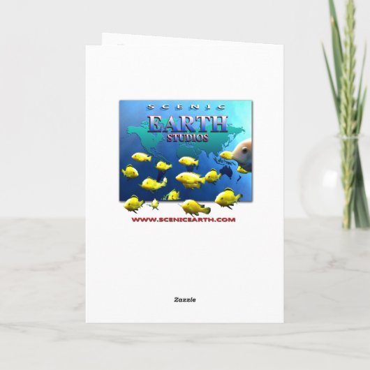 Scarlet Macaw Wildlife Bird Wenskaart Art Kaart (Achterkant)