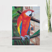 Scarlet Macaw Wildlife Bird Wenskaart Art Kaart (Voorkant)