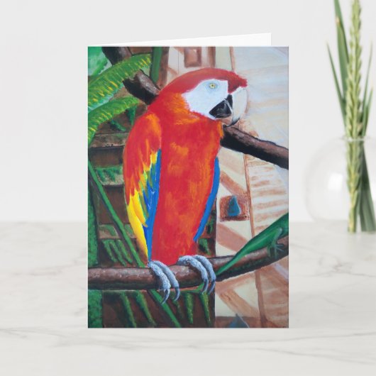 Scarlet Macaw Wildlife Bird Wenskaart Art Kaart (Voorkant)