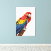 Scarlet Macaw Wrapped Canvas Print (Insitu (Houten vloer))
