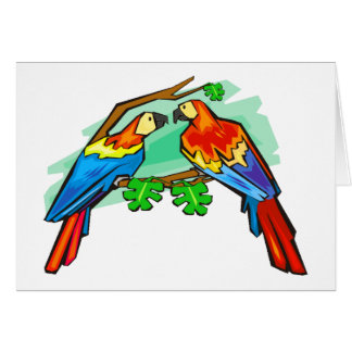 Scarlet Macaws