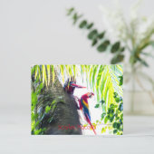 Scarlet Macaws Briefkaart (Staand voorkant)