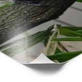 Scarlet Macaws II Foto Afdruk (Hoek)