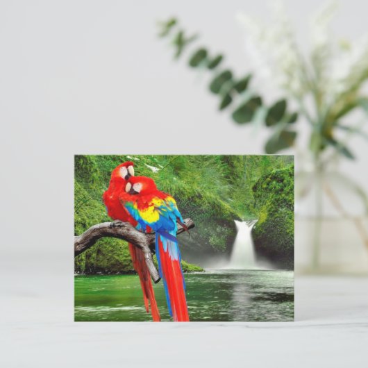 Scarlet macaws in het regenwoud briefkaart (Staand voorkant)