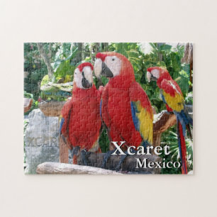 Scarlet Macaws Legpuzzel