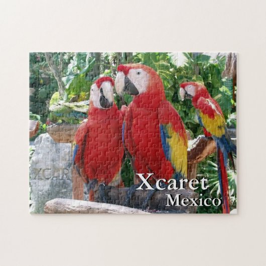 Scarlet Macaws Legpuzzel (Horizontaal)