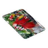 Scarlet Macaws Magnet Magneet (Rechterzijde)